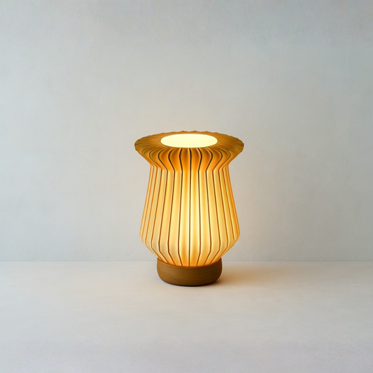 Pi-Z | 3D Printed Sustainable Lamp
